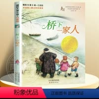 桥下一家人注音版 [正版]兔子坡注音版二年级 6-7-8-9-10-12岁一二三四年级小学生课外阅读物图书儿童文学小说