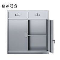 洛苏通盛文件柜不锈钢柜子储物柜资料柜档案柜带锁文件柜304二斗下节常规款