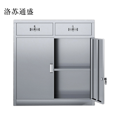 洛苏通盛文件柜不锈钢柜子储物柜资料柜档案柜带锁文件柜304二斗下节常规款