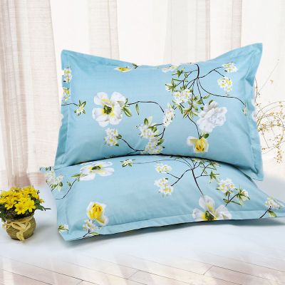 SleepyBear枕套2只枕套一对装枕头套枕芯套成人单人双人儿童枕枕套学生宿舍