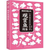 正版新书]观赏鱼图鉴赵嫣艳9787553756103