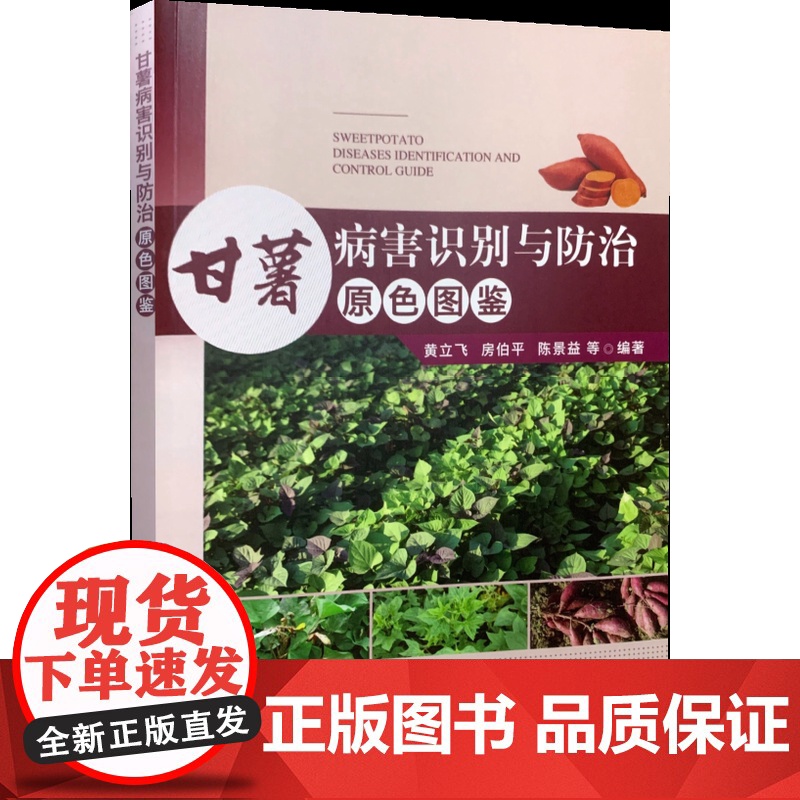 甘薯病害识别与防治原色图鉴 黄立飞等著 甘薯种植技术紫薯红薯书籍甘薯病虫害防治图谱 精准识别和防治甘薯病害 97871