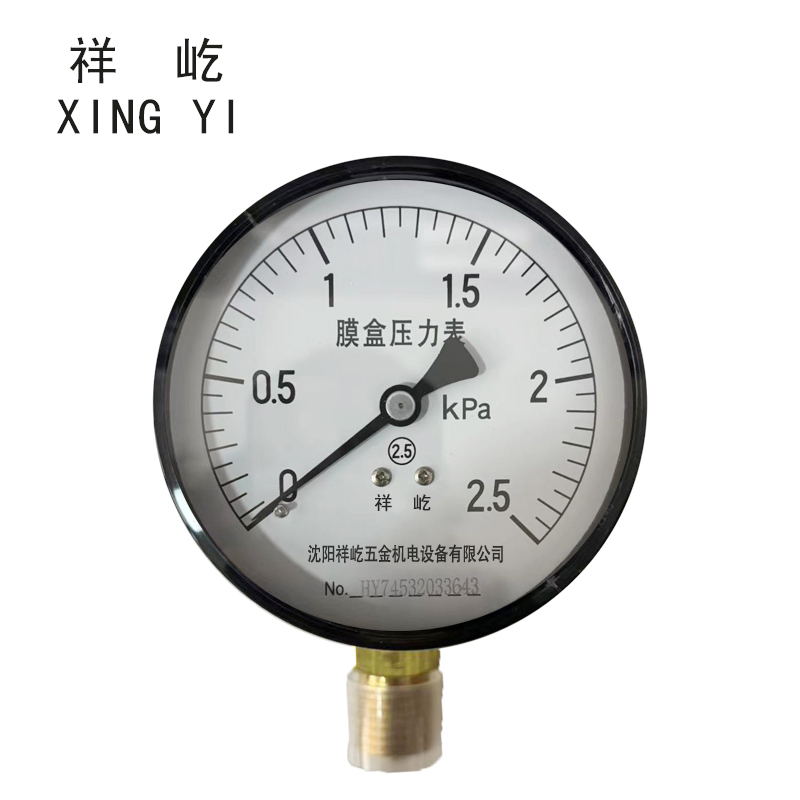 祥屹+膜盒压力表检测定制型+YE60+块