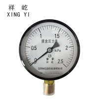 祥屹+膜盒压力表检测定制型+YE60+块