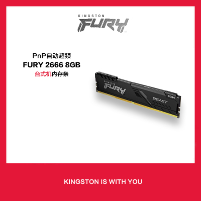 金士顿(Kingston)FuryBeastDDR426668GB台式机内存