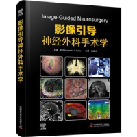 音像影像引导神经外科手术学(美)Alexandra J. Golby原著