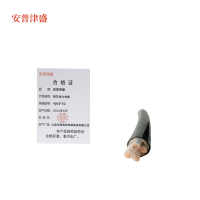 安普津盛 铜芯电力电缆 YJV4*10mm 0.6/1kv米