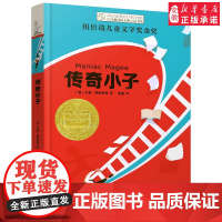 传奇小子 长青藤国际大奖小说书系 第十七辑 百班千人58期二三四五六年级共读书小学生4年级课外阅读书籍儿童读物