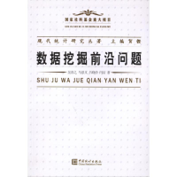音像现代统计研究丛著:数据挖掘前沿问题贺铿 主编