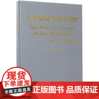 人类病原生物学图传