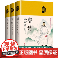 唐诗宋词元曲正版全集三百首全套3册中国古诗词鉴赏辞典大全词典赏析古典诗词传统文化国学书籍300首诗词大会注释译文赏析文白