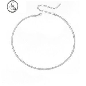 JiMieManco项链欧美简约ins锁骨链不锈钢女士链条 项饰颈链网红扁蛇链