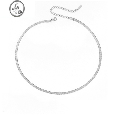 JiMieManco项链欧美简约ins锁骨链不锈钢女士链条 项饰颈链网红扁蛇链