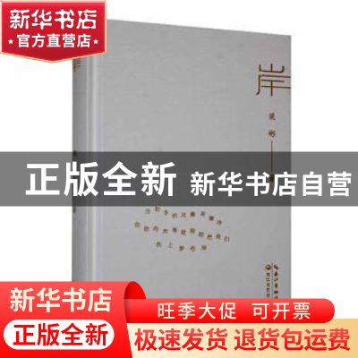 正版 岸 梁彬著 长江文艺出版社 9787570232215 书籍