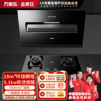 万家乐 烟灶厨电套餐装AL031+AC5 18立方大风力 侧吸式瞬吸净烟 玲珑小机身吸油烟机 台嵌两用天然气灶