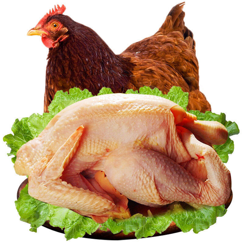 散养三黄鸡批发白条鸡农家老母鸡现宰活杀土鸡笨柴鸡 一只装[1000g/只