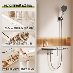 惠达(HUIDA) - TF60/TF60S 惠达简易淋浴花洒套装家用浴室恒温数显分体式沐浴无顶喷