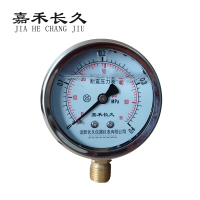 嘉禾长久 耐震压力表检测型 YTN60 0-0.4Mpa 块