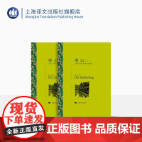 魔山 托马斯·曼著 钱鸿嘉译 译文名著精选 诺贝尔文学奖得主 死于威尼斯作者 文学名著 德国文学 上海译文出版社 正版