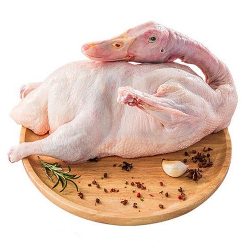 5斤】 【现杀现发】正宗农村散养土鸭肉类老鸭麻鸭肉鸭新鲜鸭子鸭腿