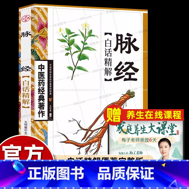 [中医入门]6册礼盒装 医宗金鉴 [正版]语译脉经校释白话文典藏版王叔和脉决内经难经伤寒论金匮要略扁鹊华佗有关脉学之论说