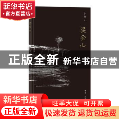 正版 梁金山 鲁毅 后浪 四川文艺出版社 9787541150807 书籍