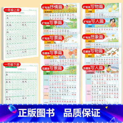 一上下同步字帖+五感扩句法字帖 [正版]一年级上册练字帖人教版语文同步字帖练字小学1年级笔画笔顺生字练字本上册下册写字课