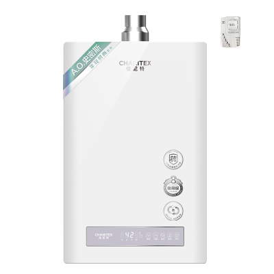 A.O.史密斯佳尼特16升燃气热水器 家用洗澡 恒温耐用 不锈钢换热器8年 新品JSQ31-XTC