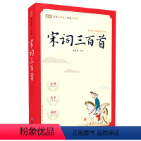 2.宋词三百首 [正版]蜗牛国学馆有声版笠翁对韵完整无删减版小学生一二三年级弟子规三字经千字文宋词唐诗三百首声律启蒙论语