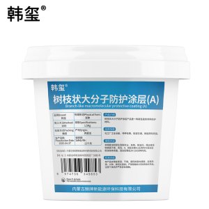 韩玺 树枝状大分子防护涂层 1.5Kg/组