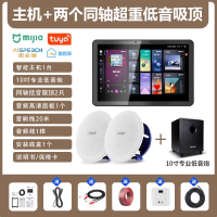 先科(SAST)智能AI家庭吸顶音响客厅无线蓝牙吊顶智能语音主机+2个6.5英寸超重低音同轴吸顶音响+10吋专业低音炮