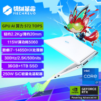 机械革命(MECHREVO)极光X 潮玩版 16英寸游戏本笔记本电脑 定制(i7-14650HX 64G 2T RTX5060 2.5K屏 300Hz 白)