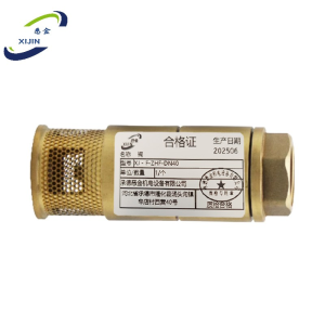 悉金 阀 XJ-F-ZHF-DN40 个