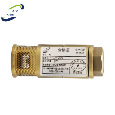 悉金 阀 XJ-F-ZHF-DN40 个