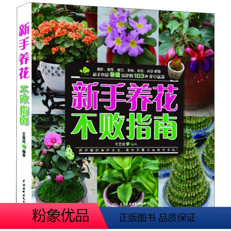 [正版]新手养花指南 种花养护大全 室内盆栽书 园艺教程入门书籍 植物选购技巧 新手学养花书籍 多肉植物水培植物观果植