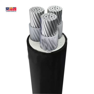 常顺鑫 低压铝芯电缆 ZC-YJLV3×35 米