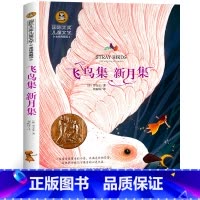 飞鸟集新月集 [正版]飞鸟集新月集泰戈尔小学三年级上册阅读老师 大奖儿童文学园丁集四五年级课外书阅读经典书目中小学生阅读