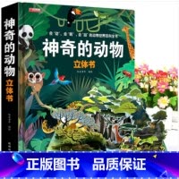 [3D震撼立体书]神奇的动物 [正版]神奇的动物 昆虫立体书揭秘系列儿童3d翻翻书绘本故事书3-6-8岁以上科普百科情景