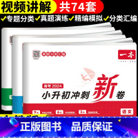3册:语文+数学+英语 小学升初中 [正版]2024小升初冲刺新卷语文数学英语人教版小升初真题卷六年级下册试卷测试卷全套