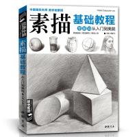 正版新书]素描基础教程杨建飞 主编 著9787514915761