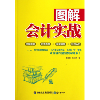 音像图解会计实战李振丽//张秋萍