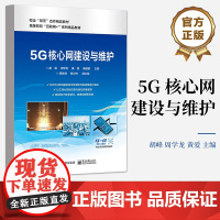 店 5G 核心网建设与维护 5G核心网的网络架构与网络功能认知讲解书籍 5G核心网服务器的安装介绍书 电子工业出版社