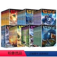 猫武士 全39册 [正版]猫武士全套3册 七部曲首部曲二部曲三部曲四部曲五部曲六部曲漫画版三年级课外书必读动物故事小说四