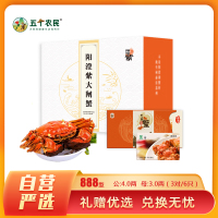 [礼券]阳澄紫牌 苏州精品大闸蟹礼券888型 公蟹4.0两/只 母蟹3.0两/只 3对6只 去绳净重 螃蟹礼盒 礼品卡