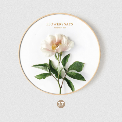 现代简约北欧ins小清新多肉绿荧光绿SYS-HN033(37)直径60cm原木框（白色黑色金属框金色备注防水画布挂画