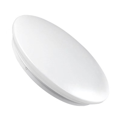 洛安斯 LED吸顶灯 XDD-36W 个