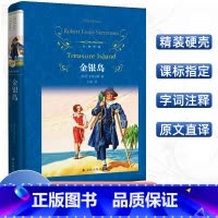 [正版]经典译林 金银岛 罗伯特·路易斯·史蒂文森著 学校阅读版本 好看的海盗小说 寻宝小说世界名著青少年阅读译林出