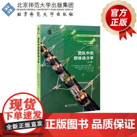 团队中的群体动力学 9787303251872 [美]丹尼尔·利维 戴维·阿什凯 著 心理学经典教材译丛 北京师范大学