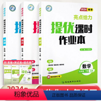 [3本语数英]江苏适用 九年级下 [正版]2024春亮点给力提优课时作业本语文数学英语九年级上册下册物理化学人教版人教版