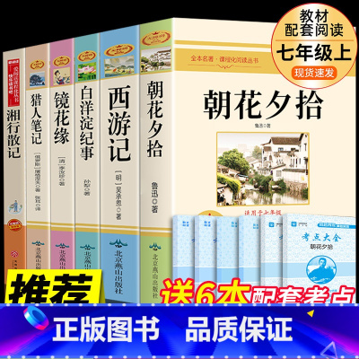 [配套人教版]七年级上册必读正版6册 [正版]骆驼祥子和海底两万里书原著老舍七年级下册必读课外书初中课外阅读书籍初一7下
